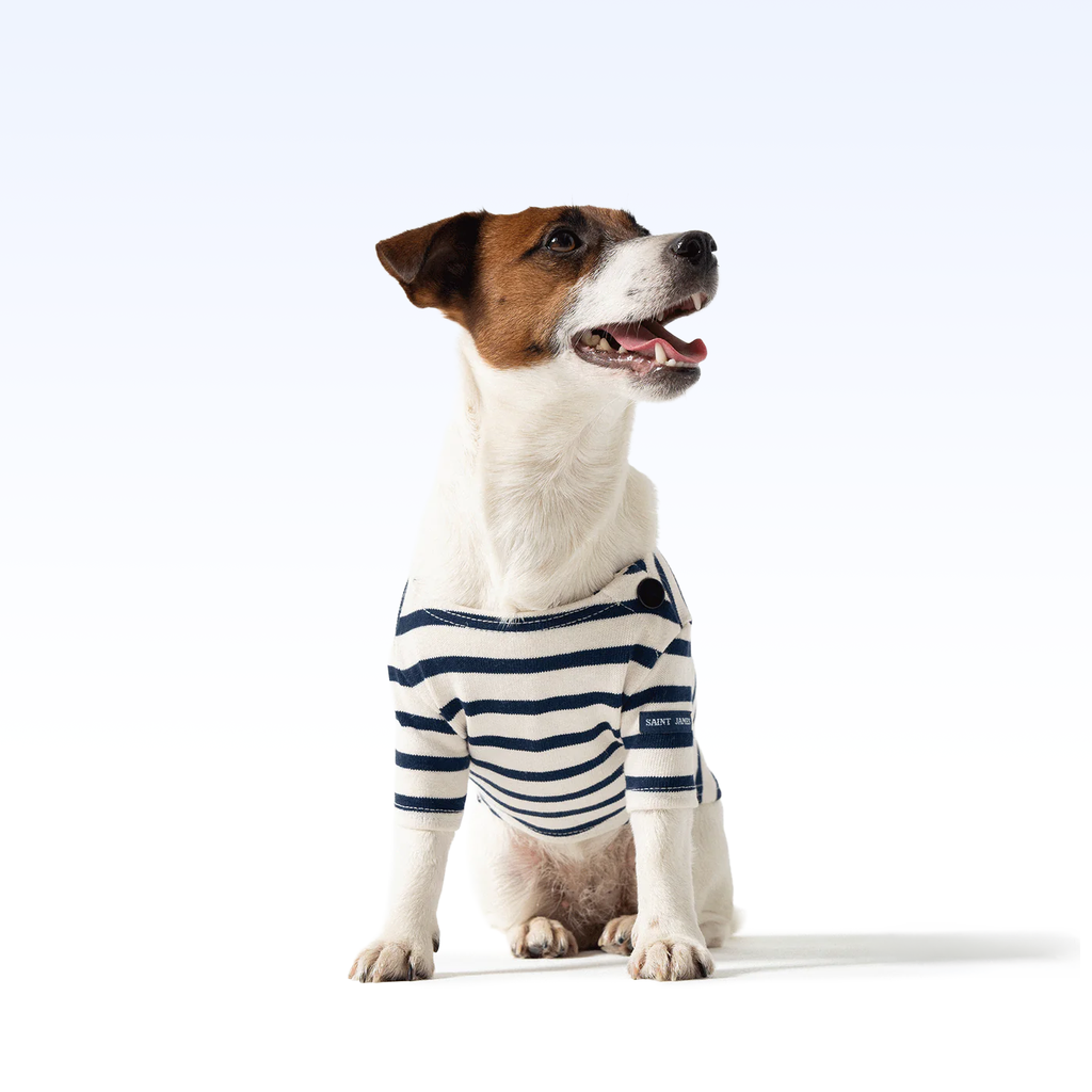 SAINT JAMES PARISIAN PUP SHIRT