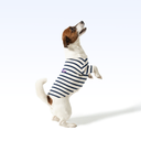 CARLB&YC_PARISIAN PUP SHIRT